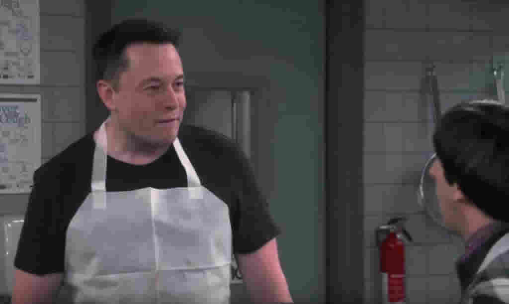 Elon Musk in an episode of Big Bang Theory.