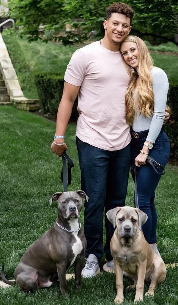 Patrick pictured alongside Brittany and their dogs- Aren’t they cute together?