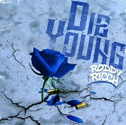 The album cover of his most famous music 'Die Young'. Image: Amazon