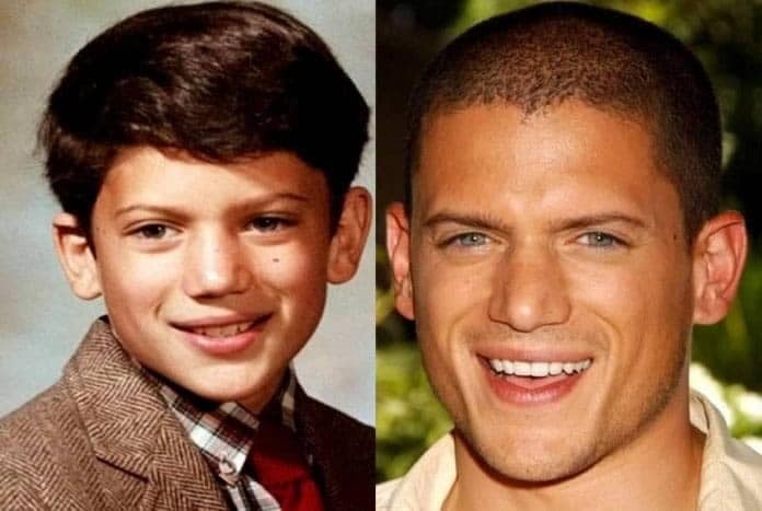 Wentworth Miller Childhood Story Plus Untold Biography Facts