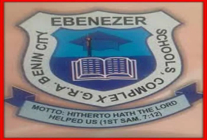 A photo depicting the Badge of Ize-Iyamu's school attended.