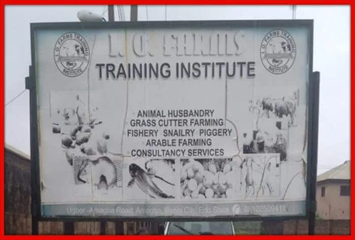 A Photo of I.O Farms Training Institute.