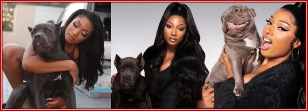 Megan Thee Stallion loves animals. She has four dogs.