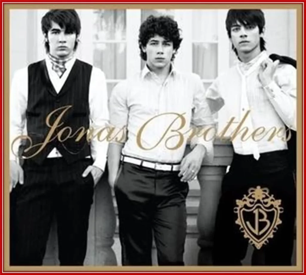 By 2006, The Jonas Brothers had released their debut studio album, It's About Time.