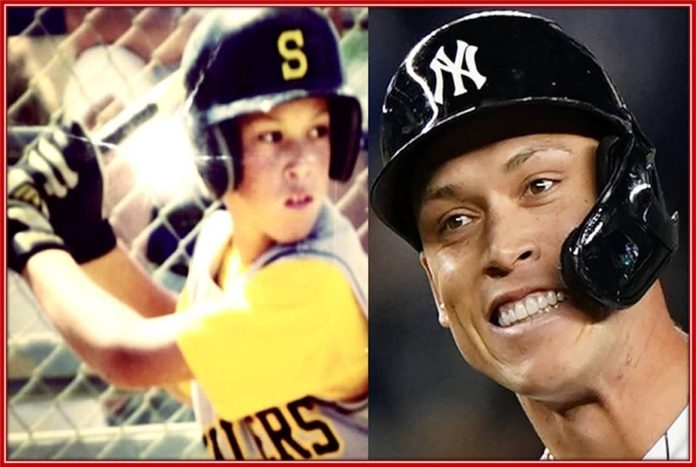 Aaron Judge Childhood Story Plus Untold Biography Facts