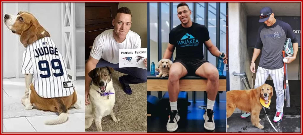 Beautiful photos of Aaron Judge and his dogs.