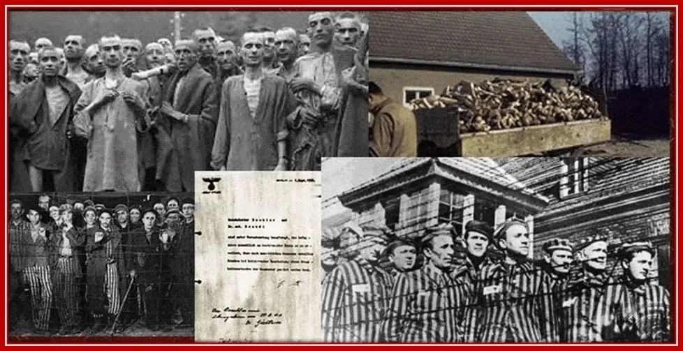 The Holocaust of the Killings of Over 6 Million Jews.