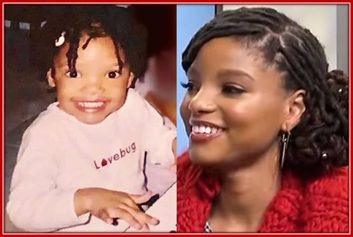 Halle Bailey Childhood Story Plus Untold Biography Facts