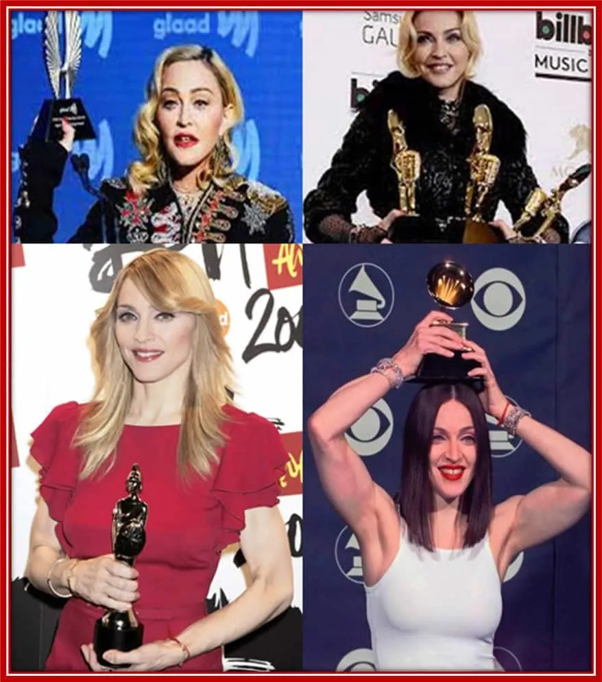 Behold the fantastic music artist with different awards.