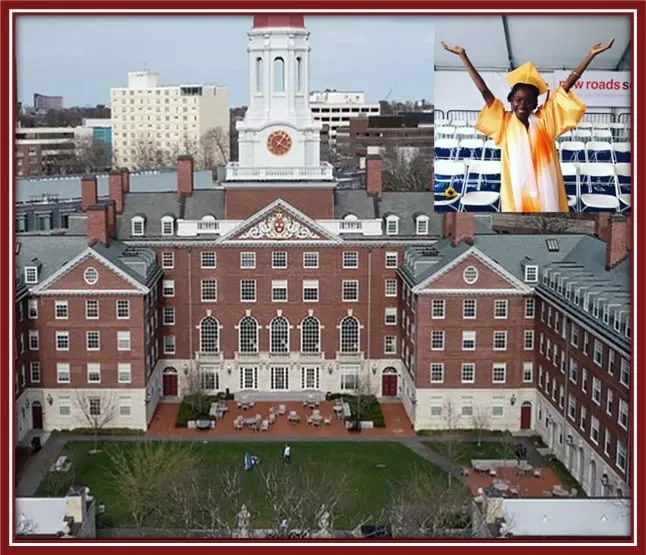 The Esteemed odist attended Harvard University. Image Credit: Hille.org, Instagram/amandascgorman.